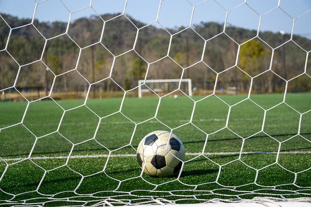 杏彩体育平台注册登录